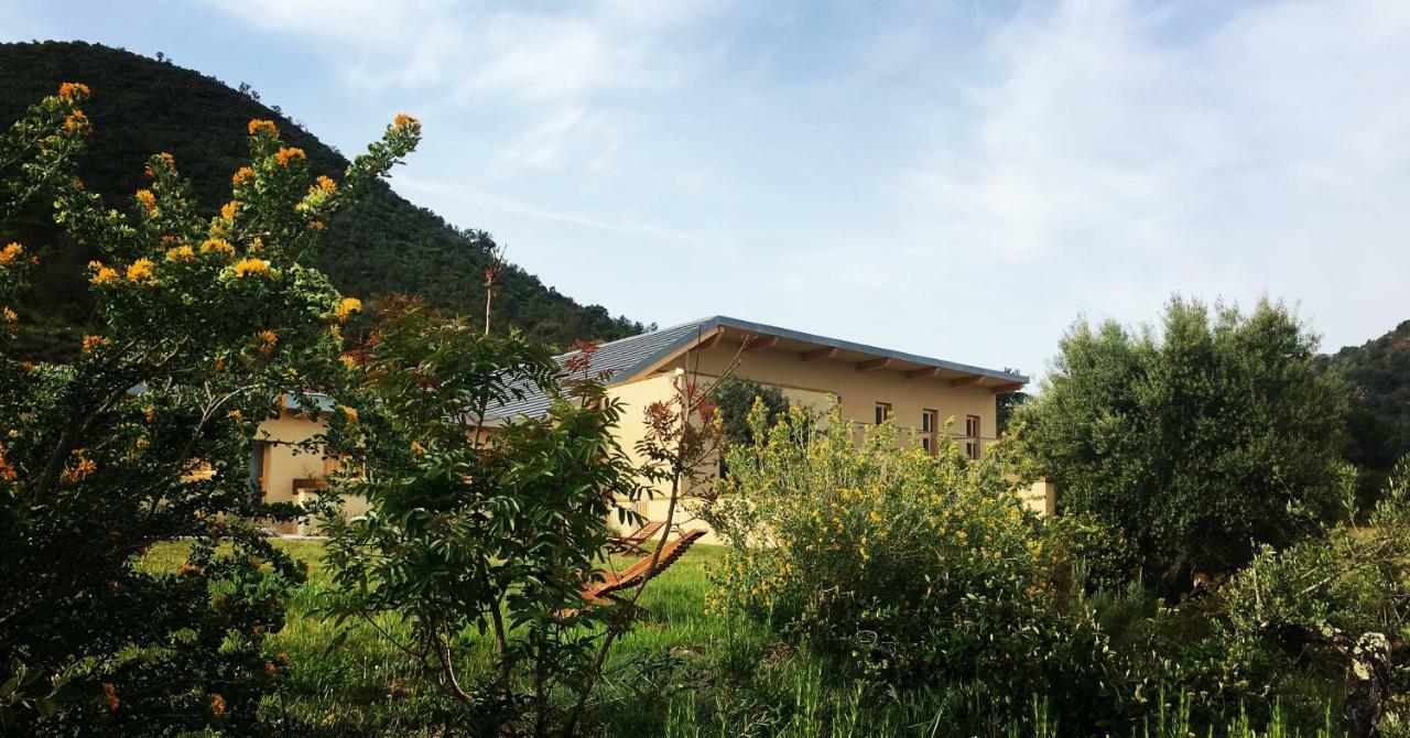 Hotel Mar De Fulles Alfondeguilla Zewnętrze zdjęcie
